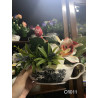 Gravy boat flowers set with black landscape