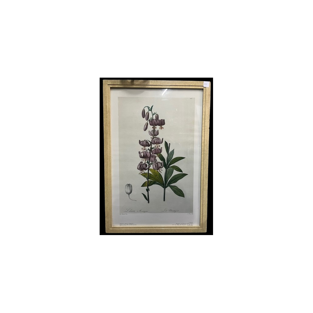 Quadro Lilium Martagon