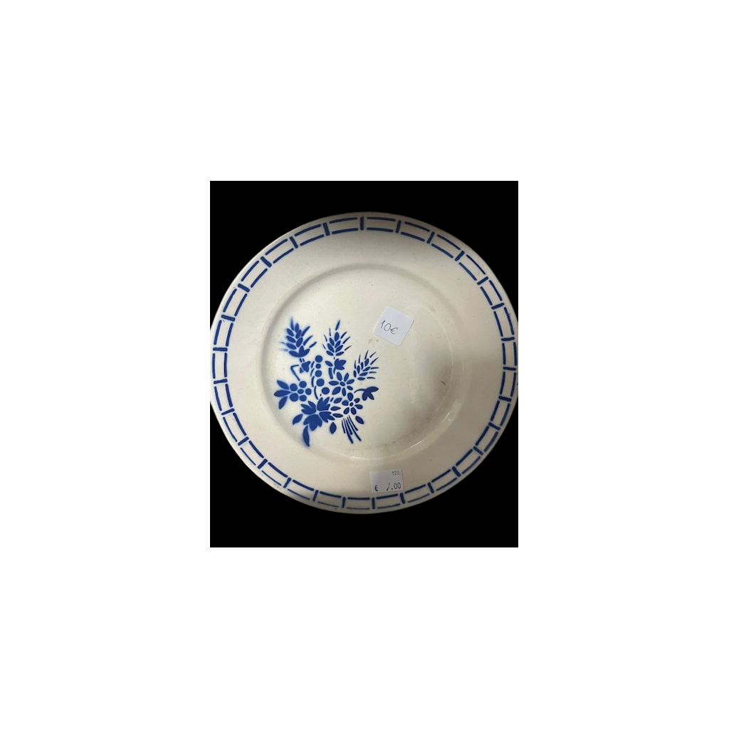 Dish