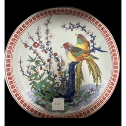Dish