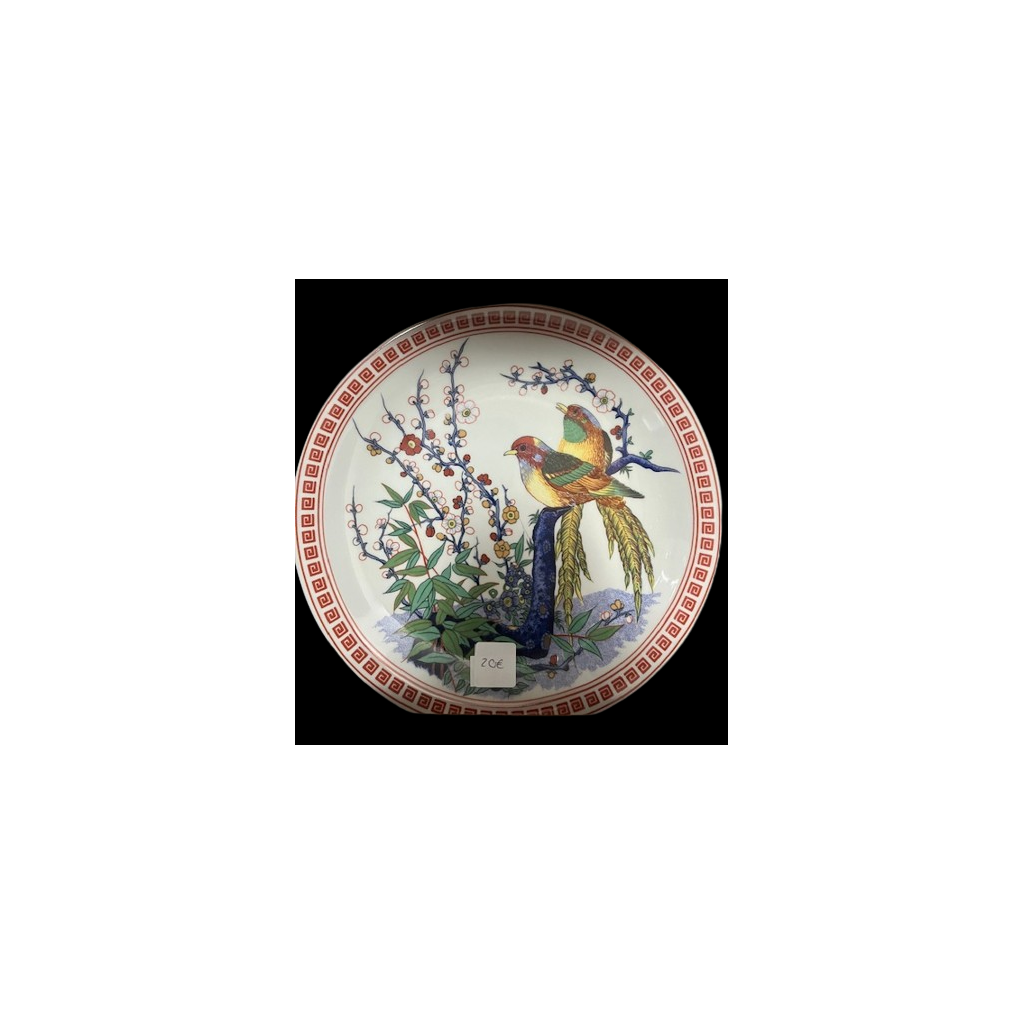 Dish