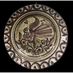 Dish