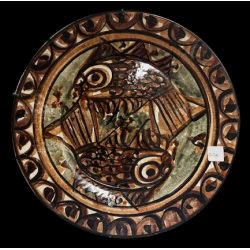 Dish