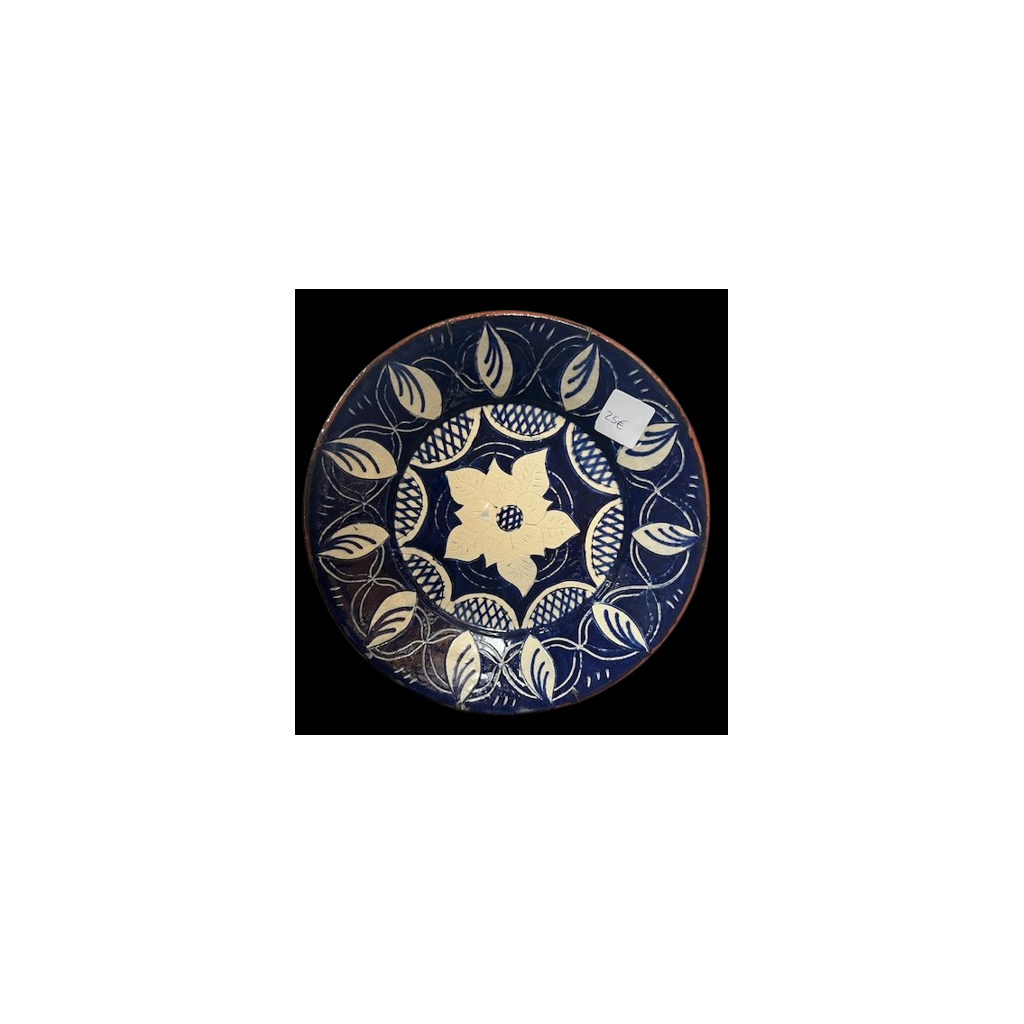 Dish