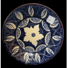 Dish